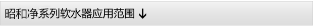 0.5噸(500L)每小時出力全自動軟水器 0.5噸(500L)每小時出力全自動軟水器