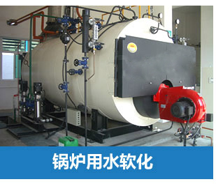 0.5噸(500L)每小時(shí)出力全自動(dòng)軟水器