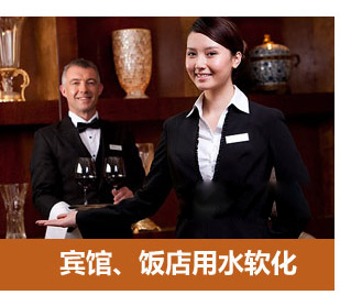 0.5噸(500L)每小時(shí)出力全自動(dòng)軟水器