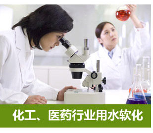 0.5噸(500L)每小時(shí)出力全自動(dòng)軟水器